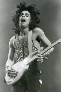 Prince 2 1988 LA.jpg